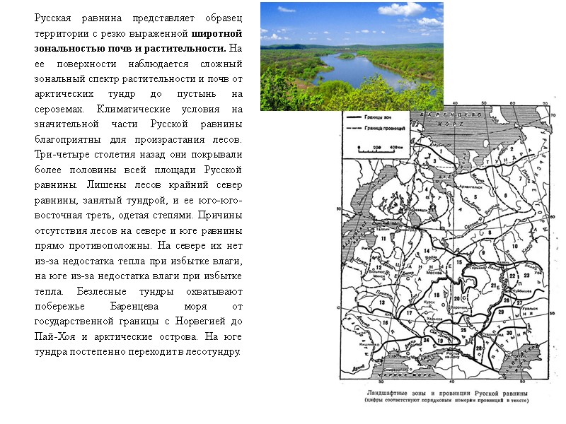 Русская равнина представляет образец территории с резко выраженной широтной зональностью почв и растительности. На
